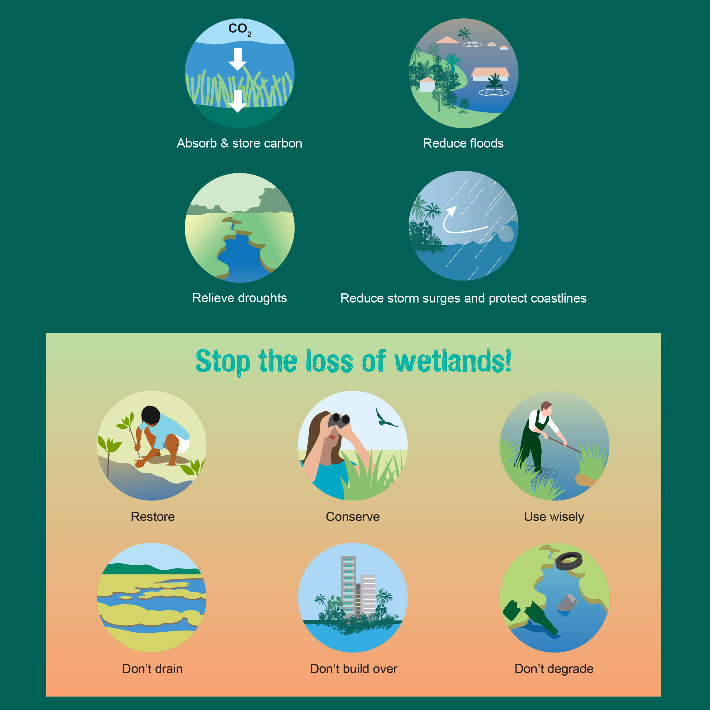 Wetland help us cope